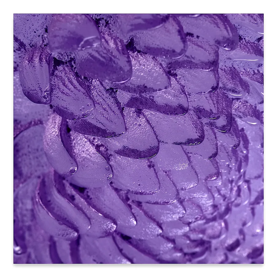Plate X from Compassion, a glass artwork by Trish Duggan
