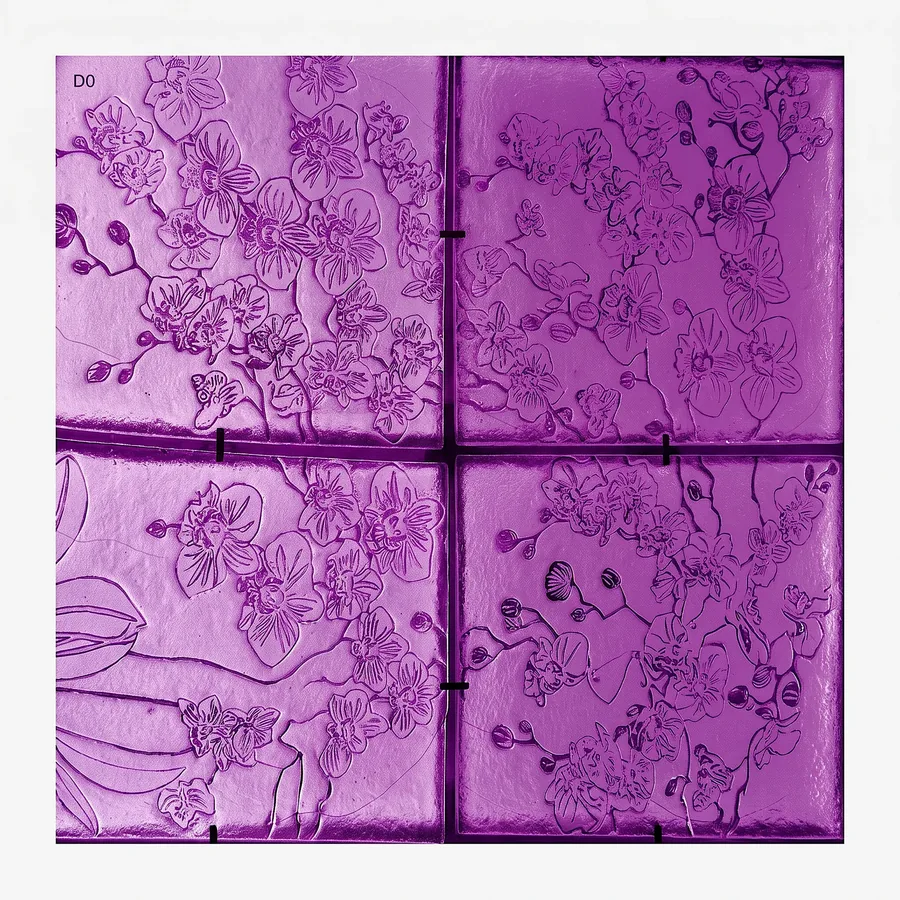 Plate XXV from Compassion, a glass artwork by Trish Duggan