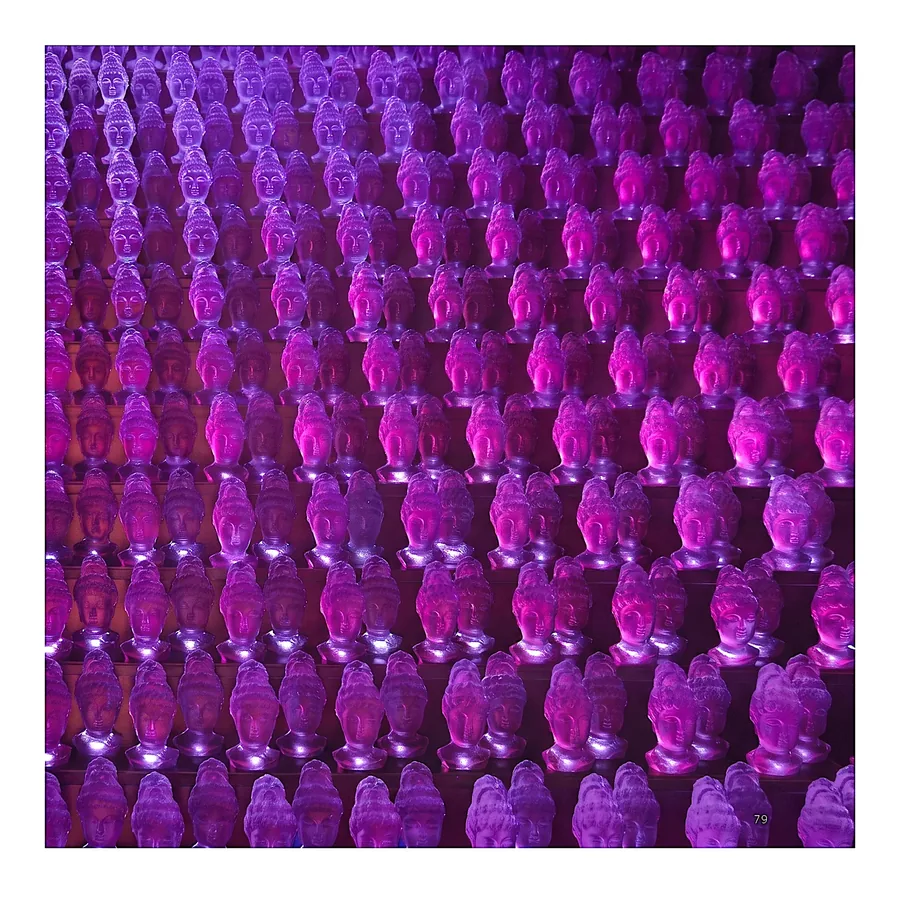 Plate III from Compassion, a glass artwork by Trish Duggan