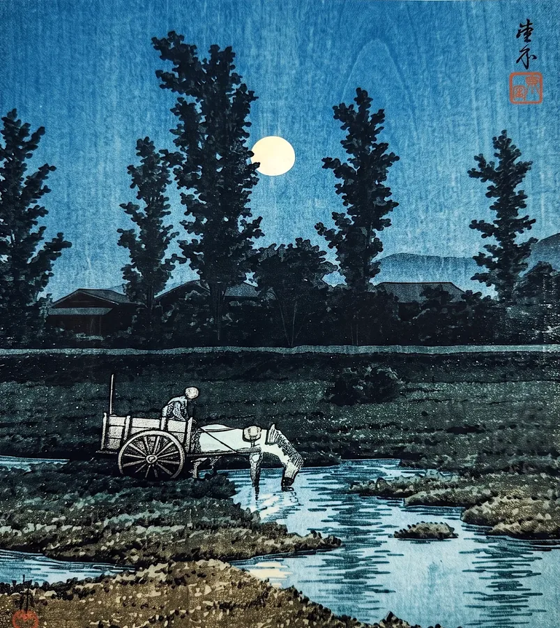 Plate X from Imagine the Beauty of Japan, a glass artwork by Trish Duggan