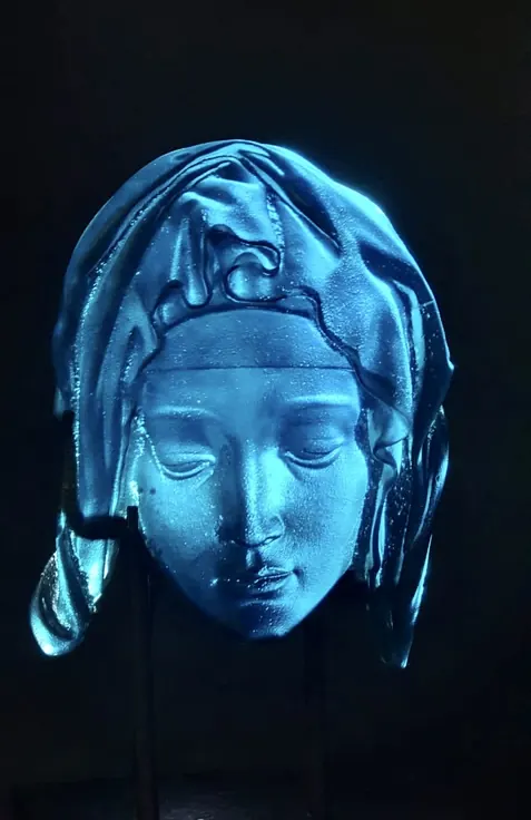 Mother Mary from the Pieta · Plate 8